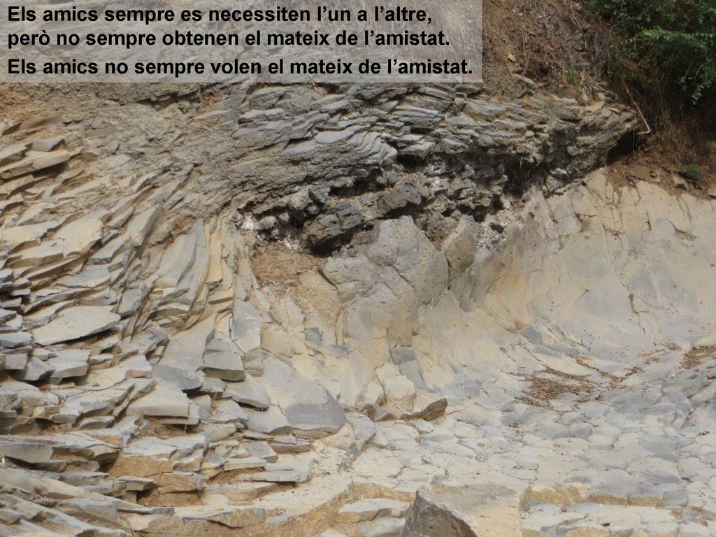 Els amics sempre es necessiten l’un a l’altre, però no sempre obtenen el mateix de l’amistat.