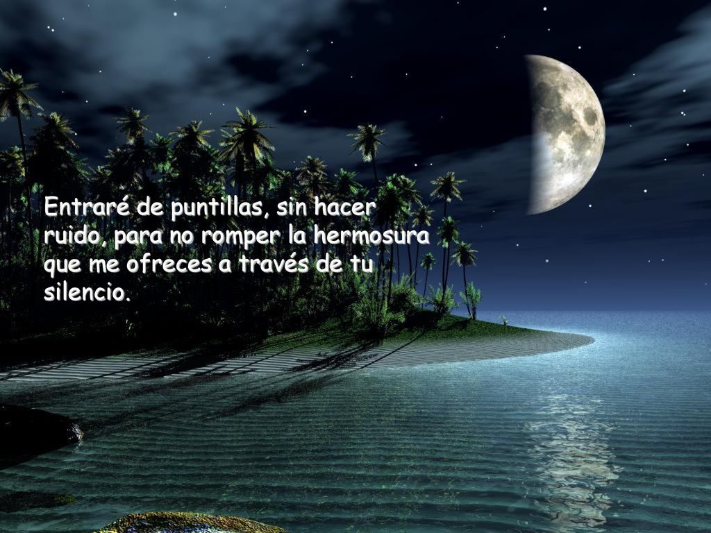 Entraré de puntillas, sin hacer ruido, para no romper la hermosura que me ofreces a través de tu silencio.