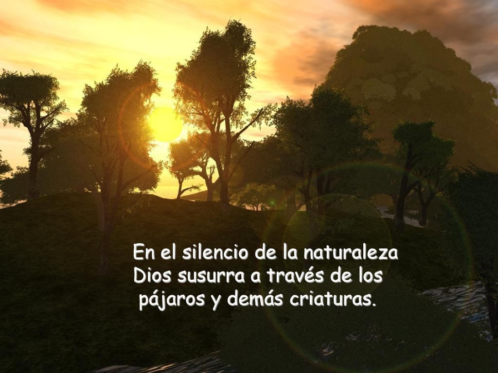 En el silencio de la naturaleza Dios susurra a través de los
