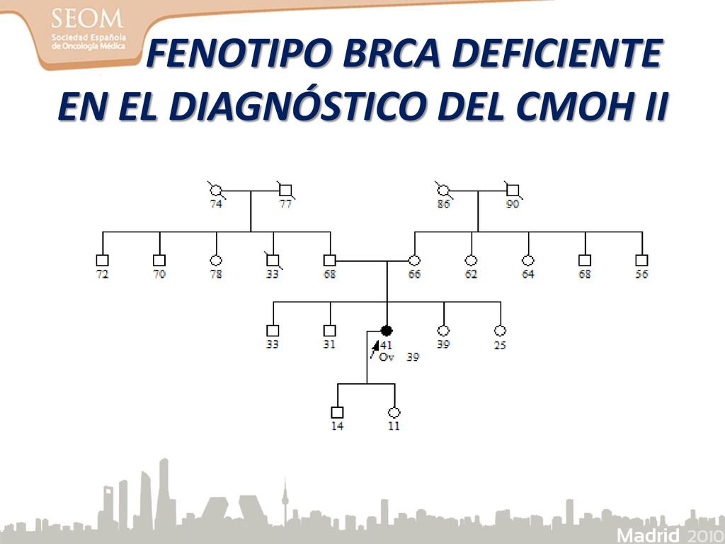 FENOTIPO BRCA DEFICIENTE EN EL DIAGNÓSTICO DEL CMOH II