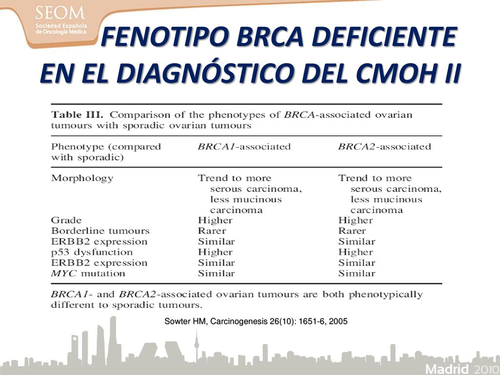 FENOTIPO BRCA DEFICIENTE EN EL DIAGNÓSTICO DEL CMOH II