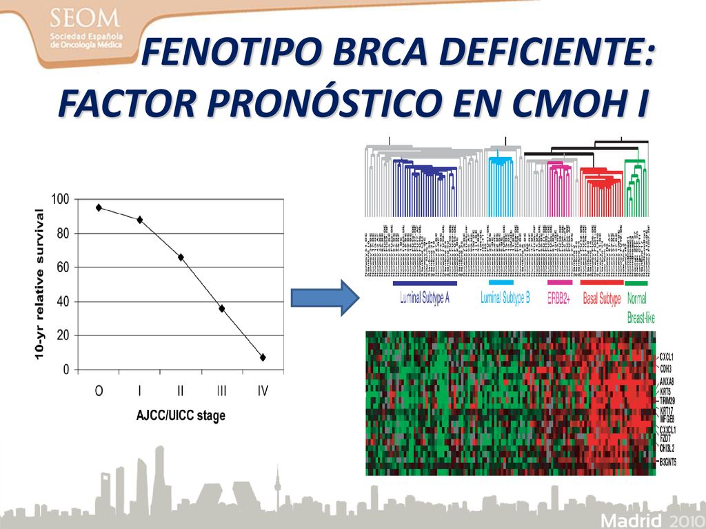 FENOTIPO BRCA DEFICIENTE: FACTOR PRONÓSTICO EN CMOH I