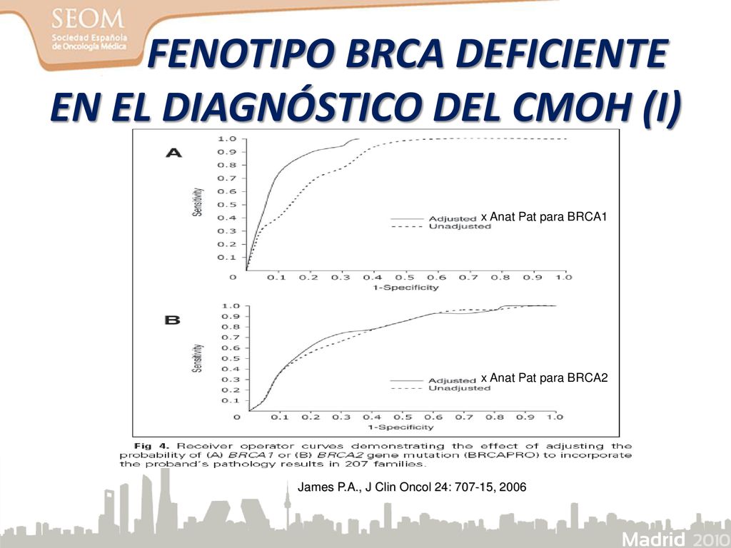 FENOTIPO BRCA DEFICIENTE EN EL DIAGNÓSTICO DEL CMOH (I)