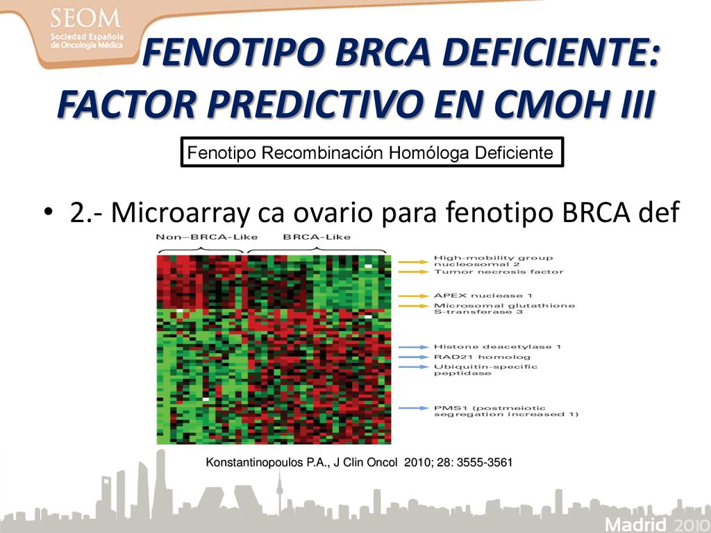 FENOTIPO BRCA DEFICIENTE: FACTOR PREDICTIVO EN CMOH III