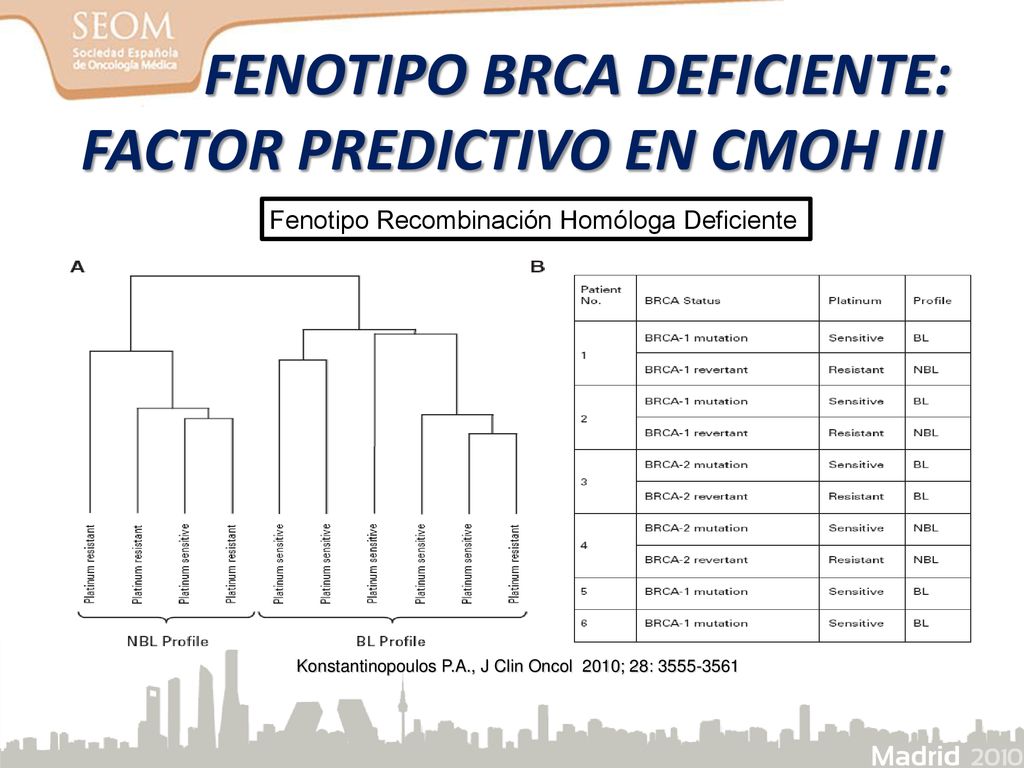 FENOTIPO BRCA DEFICIENTE: FACTOR PREDICTIVO EN CMOH III