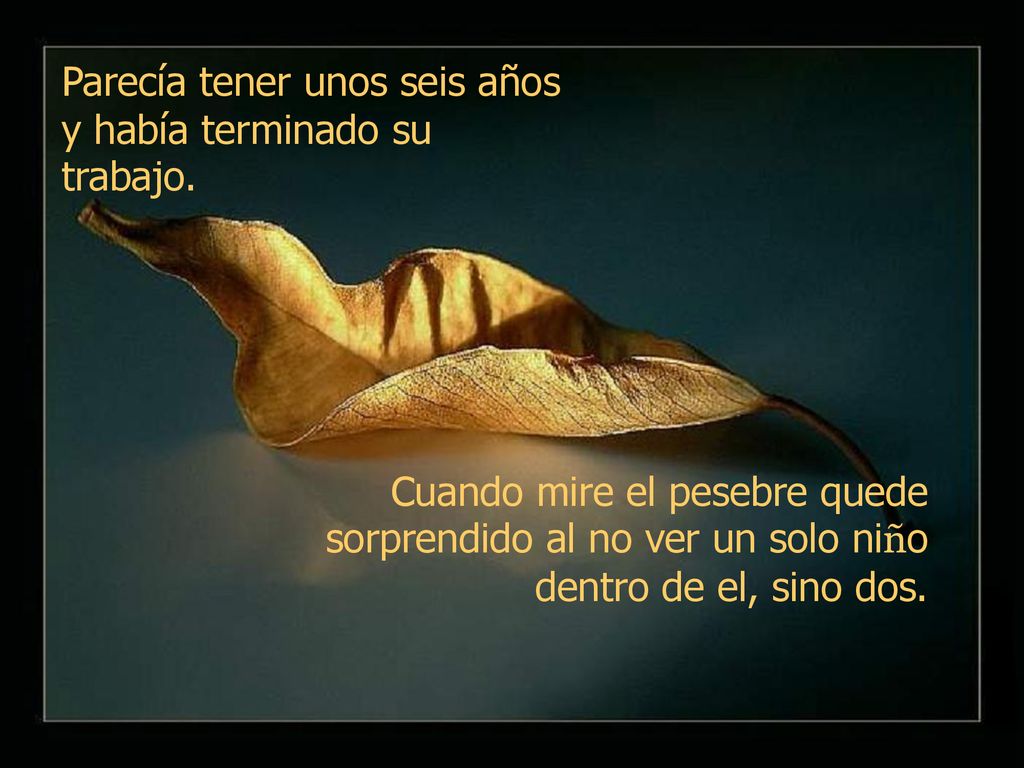 Parecía tener unos seis años y había terminado su trabajo.