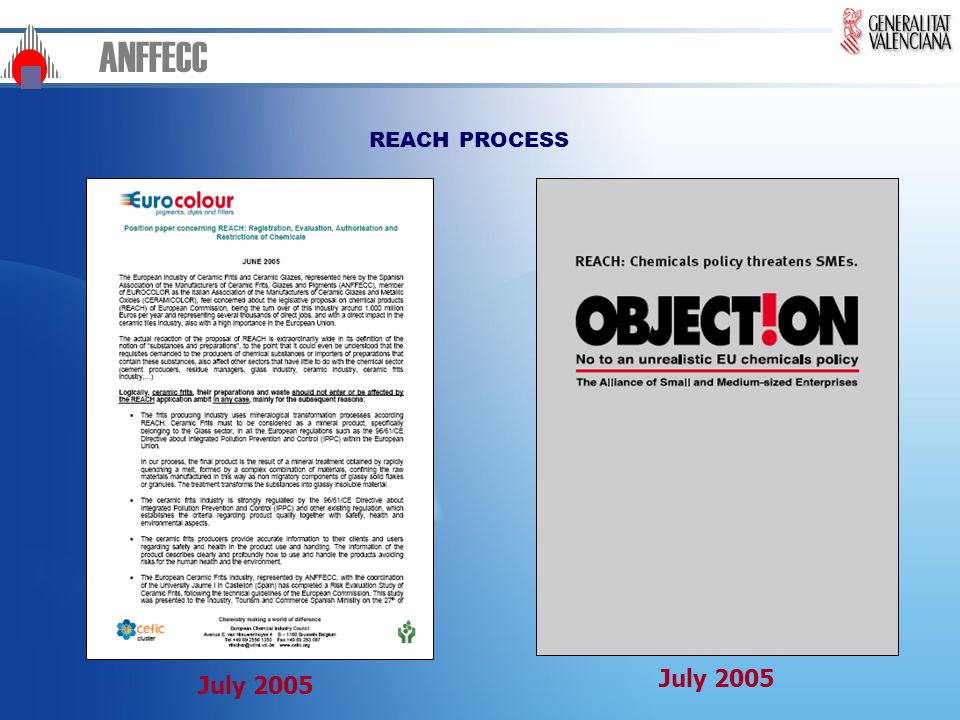 ANFFECC REACH PROCESS July 2005 July 2005