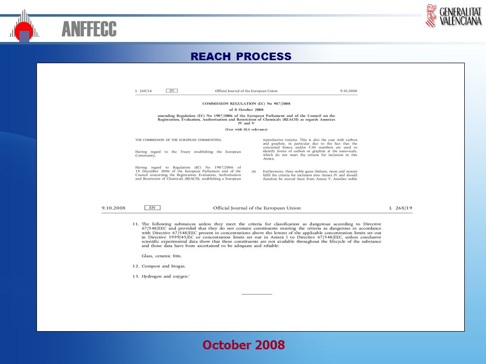 ANFFECC REACH PROCESS October 2008