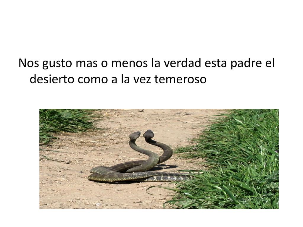Nos gusto mas o menos la verdad esta padre el desierto como a la vez temeroso