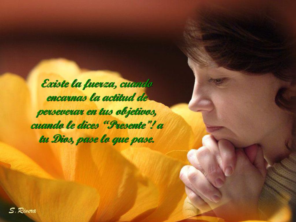 Existe la fuerza, cuando encarnas la actitud de perseverar en tus objetivos, cuando le dices Presente .