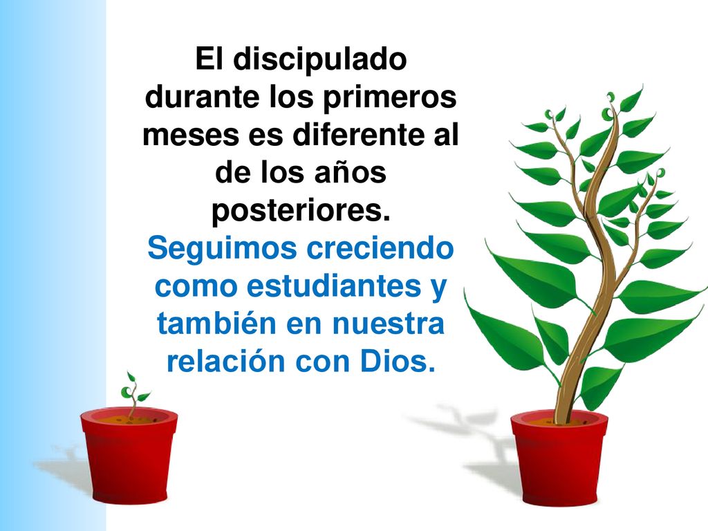 El discipulado durante los primeros meses es diferente al de los años posteriores.