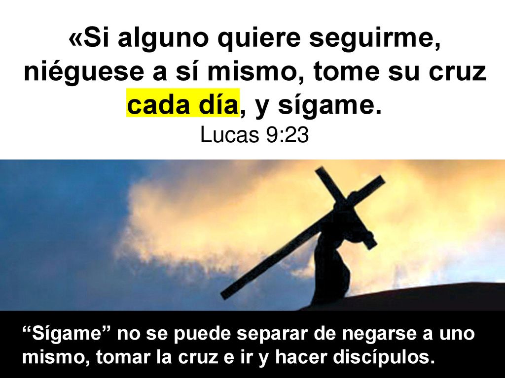 «Si alguno quiere seguirme, niéguese a sí mismo, tome su cruz cada día, y sígame.