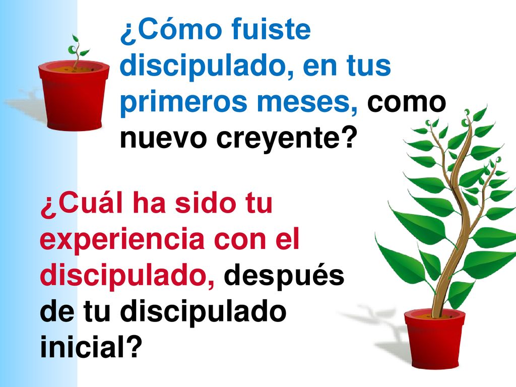 ¿Cómo fuiste discipulado, en tus primeros meses, como nuevo creyente