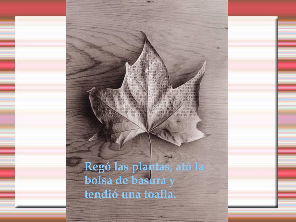 Regó las plantas, ató la bolsa de basura y tendió una toalla.