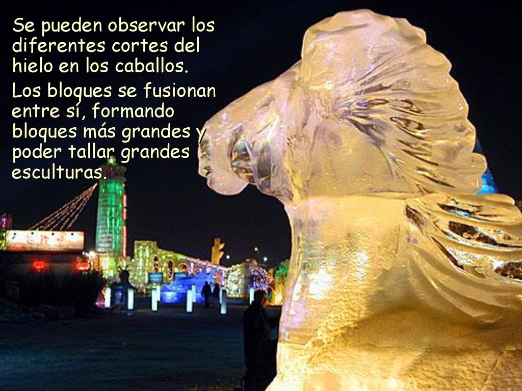 Se pueden observar los diferentes cortes del hielo en los caballos.