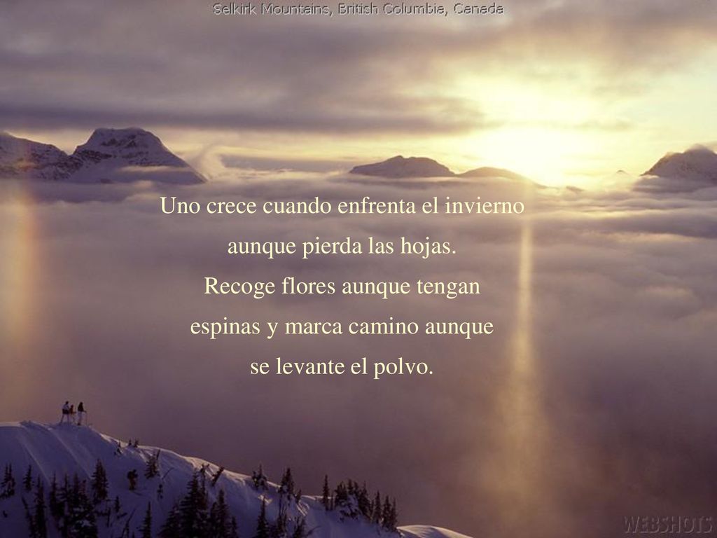Uno crece cuando enfrenta el invierno aunque pierda las hojas.