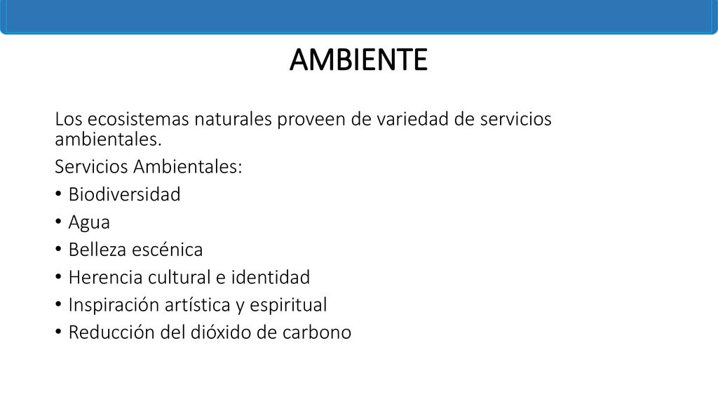 AMBIENTE Los ecosistemas naturales proveen de variedad de servicios ambientales. Servicios Ambientales: