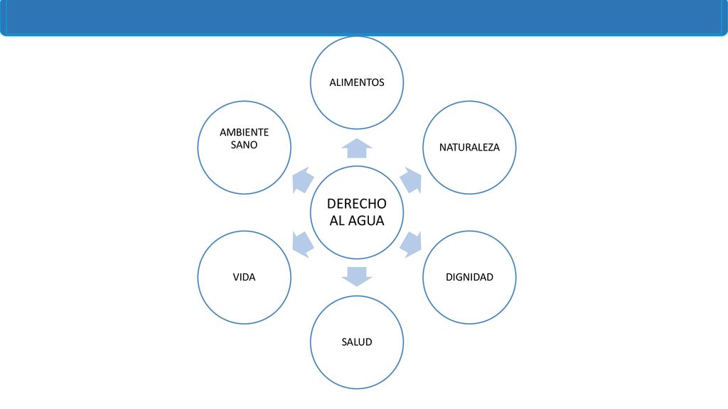 DERECHO AL AGUA ALIMENTOS NATURALEZA DIGNIDAD SALUD VIDA AMBIENTE SANO