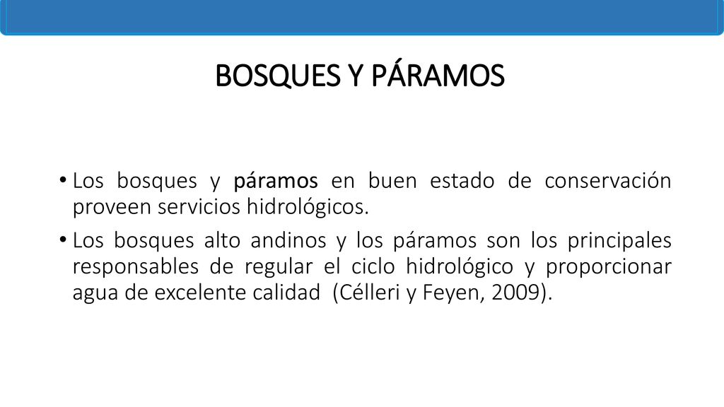 BOSQUES Y PÁRAMOS Los bosques y páramos en buen estado de conservación proveen servicios hidrológicos.