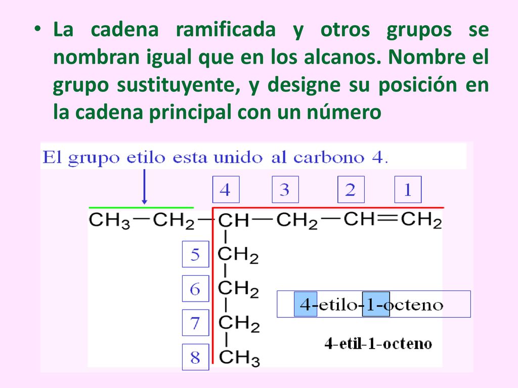 La cadena ramificada y otros grupos se nombran igual que en los alcanos.