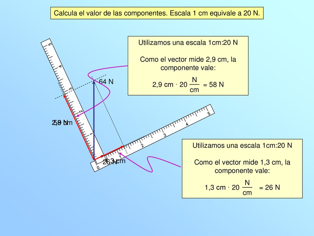 Calcula el valor de las componentes. Escala 1 cm equivale a 20 N.