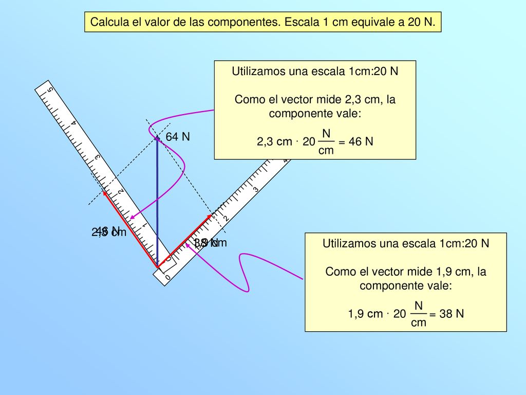 Calcula el valor de las componentes. Escala 1 cm equivale a 20 N.