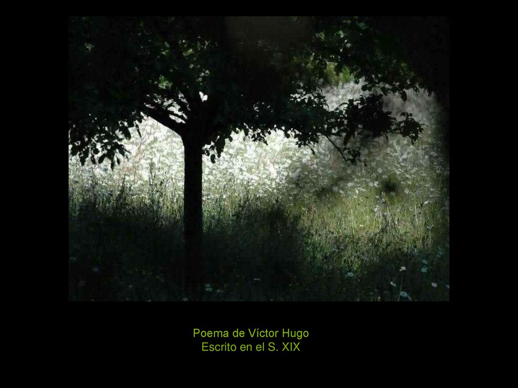 Poema de Víctor Hugo Escrito en el S. XIX