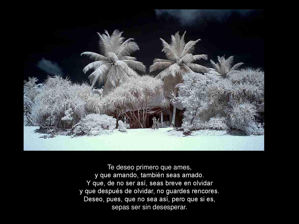 Te deseo primero que ames, y que amando, también seas amado