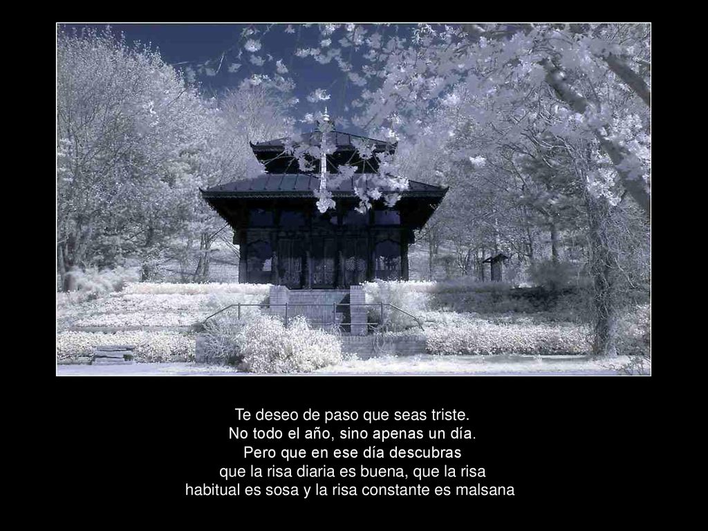 Te deseo de paso que seas triste. No todo el año, sino apenas un día
