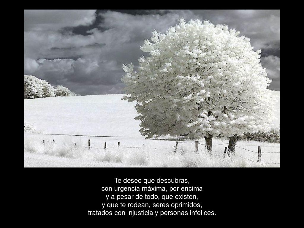 Te deseo que descubras, con urgencia máxima, por encima y a pesar de todo, que existen, y que te rodean, seres oprimidos, tratados con injusticia y personas infelices.