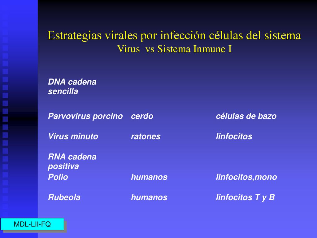 Estrategias virales por infección células del sistema Virus vs Sistema Inmune I
