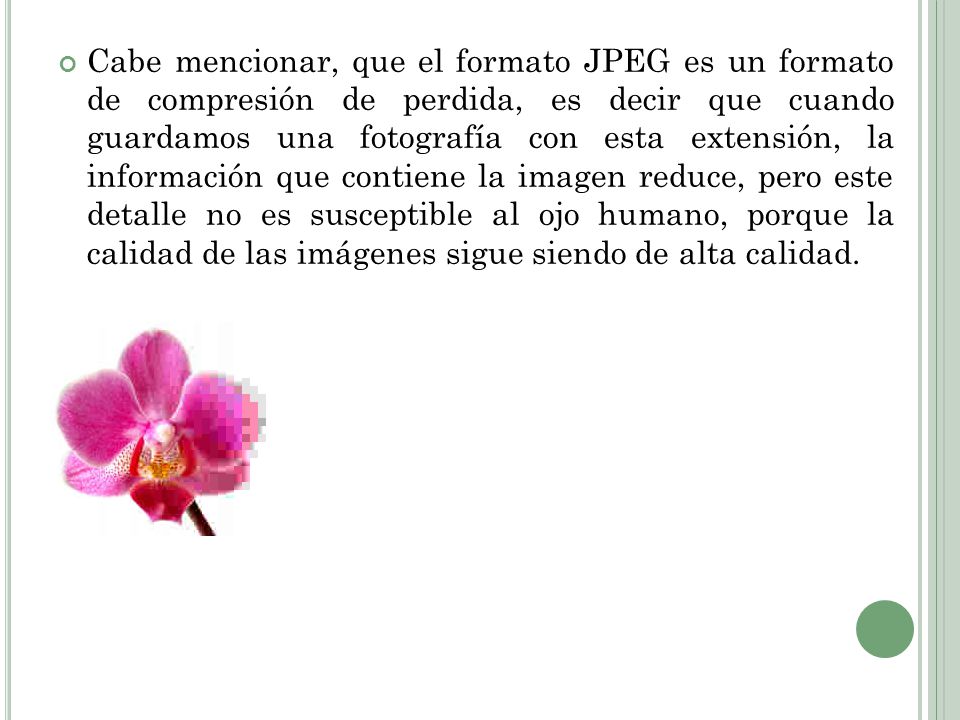 Cabe mencionar, que el formato JPEG es un formato de compresión de perdida, es decir que cuando guardamos una fotografía con esta extensión, la información que contiene la imagen reduce, pero este detalle no es susceptible al ojo humano, porque la calidad de las imágenes sigue siendo de alta calidad.