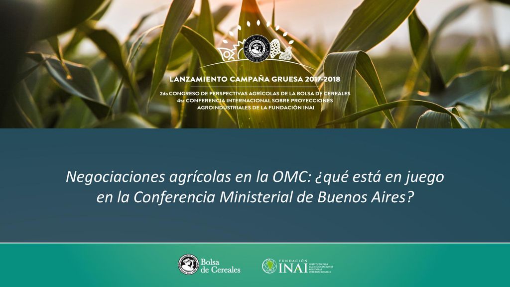 Negociaciones agrícolas en la OMC: ¿qué está en juego en la Conferencia Ministerial de Buenos Aires