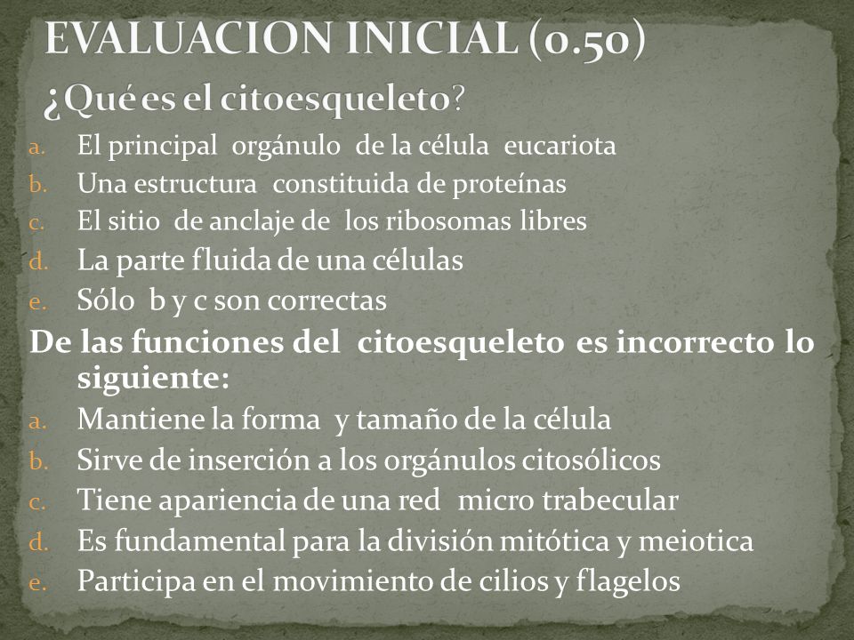 EVALUACION INICIAL (0.50) ¿Qué es el citoesqueleto