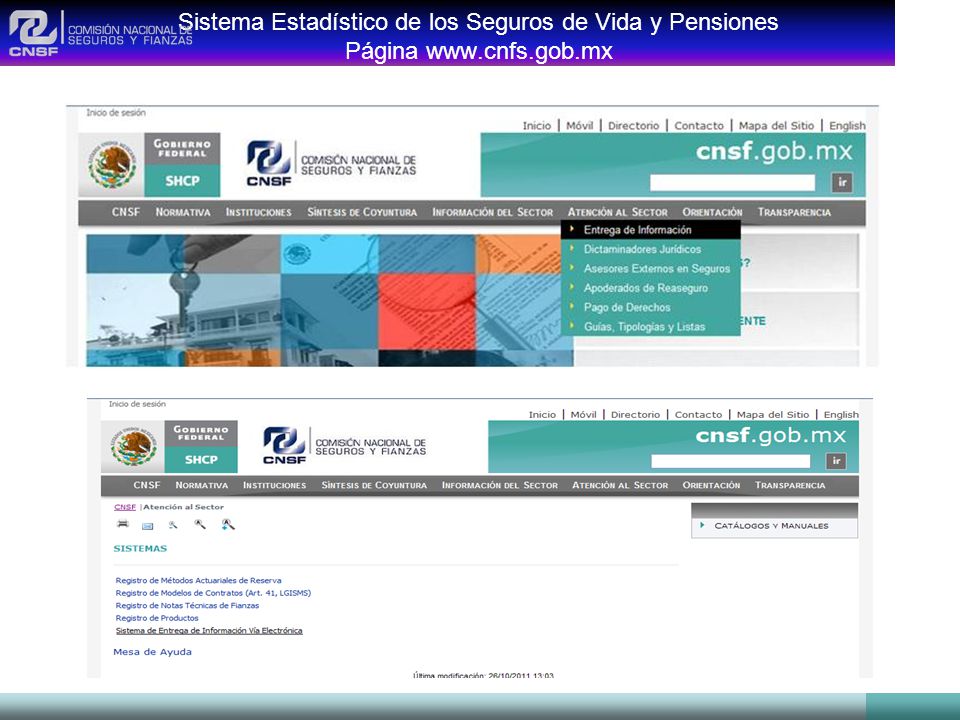 Sistema Estadístico de los Seguros de Vida y Pensiones Página
