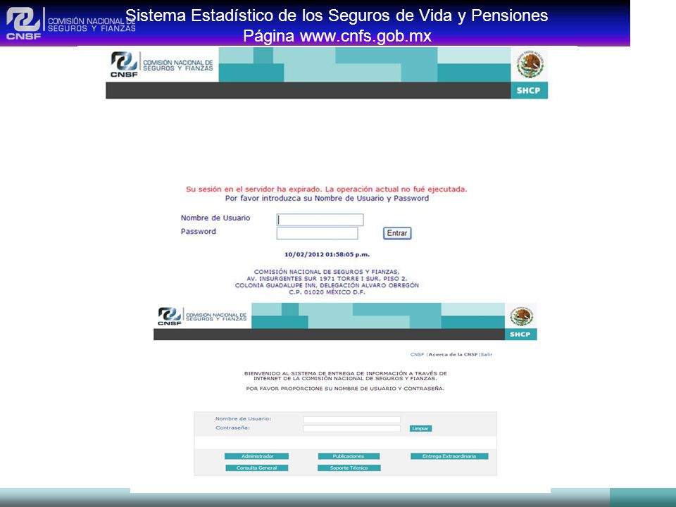 Sistema Estadístico de los Seguros de Vida y Pensiones Página