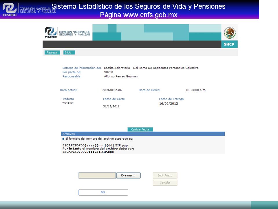 Sistema Estadístico de los Seguros de Vida y Pensiones Página