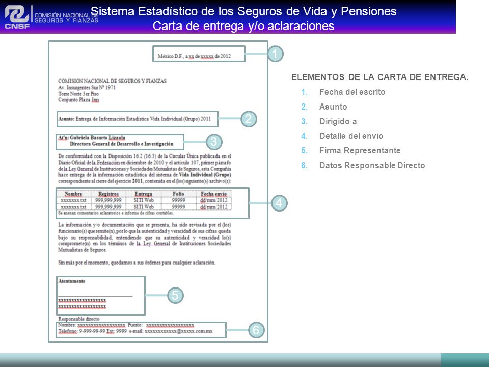 Sistema Estadístico de los Seguros de Vida y Pensiones Carta de entrega y/o aclaraciones