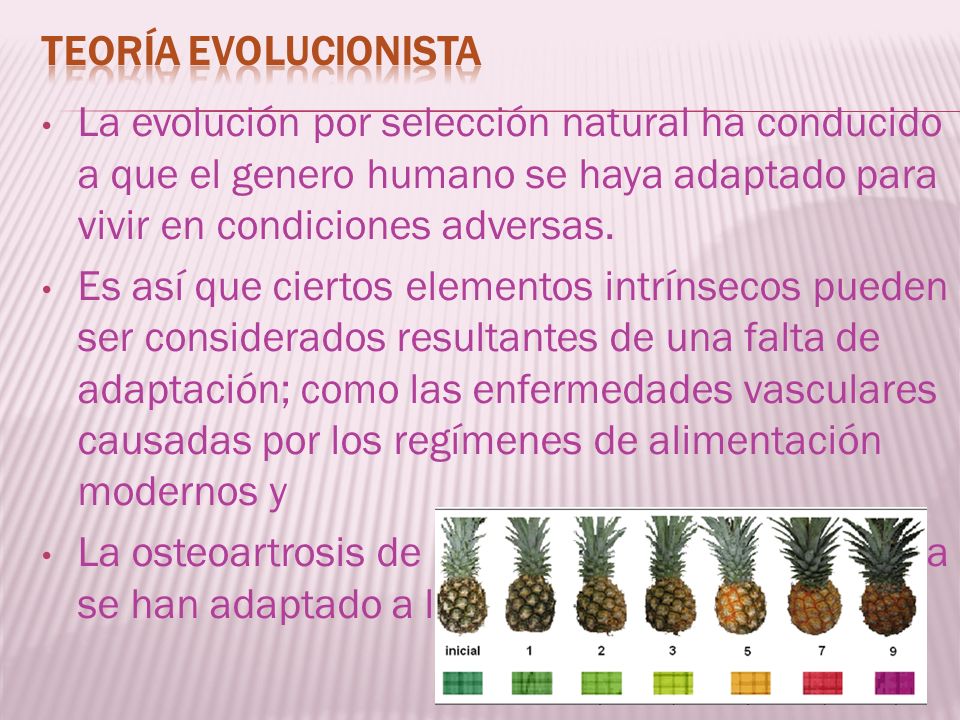 Teoría evolucionista La evolución por selección natural ha conducido a que el genero humano se haya adaptado para vivir en condiciones adversas.