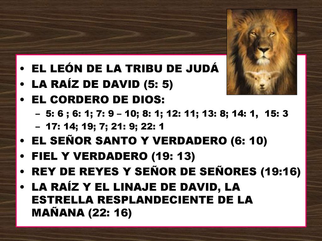 EL LEÓN DE LA TRIBU DE JUDÁ LA RAÍZ DE DAVID (5: 5)