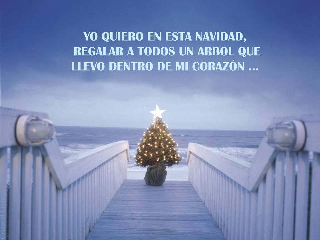 YO QUIERO EN ESTA NAVIDAD, REGALAR A TODOS UN ARBOL QUE
