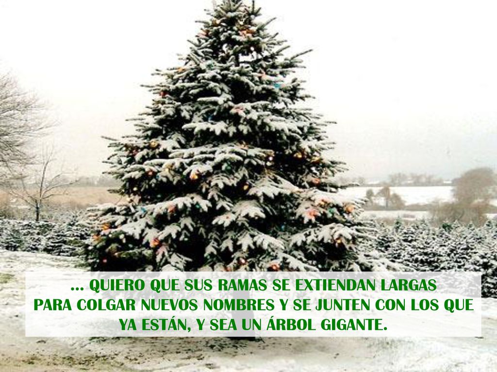 … QUIERO QUE SUS RAMAS SE EXTIENDAN LARGAS