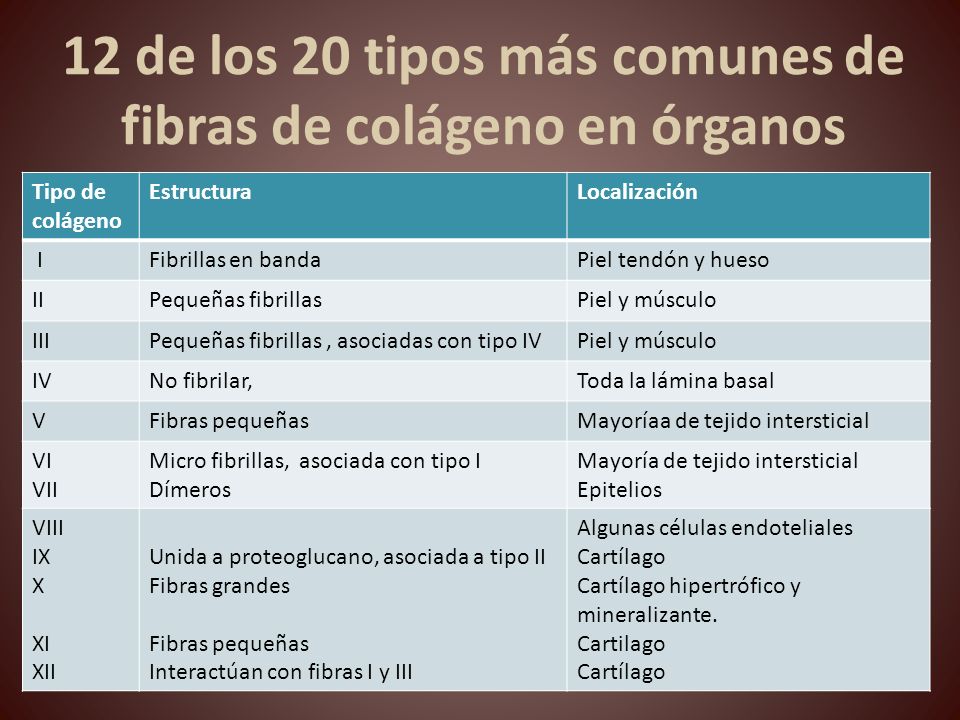 12 de los 20 tipos más comunes de fibras de colágeno en órganos