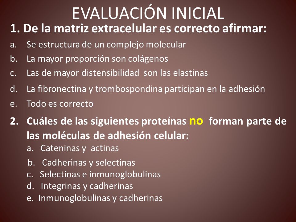 EVALUACIÓN INICIAL 1. De la matriz extracelular es correcto afirmar: