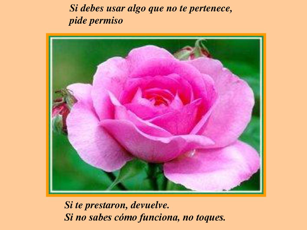 Si debes usar algo que no te pertenece, pide permiso