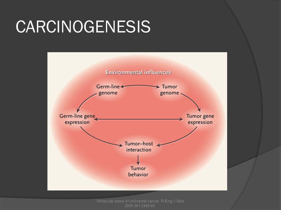 Molecular basis of colorectal cancer; N Engl J Med 2009;361:
