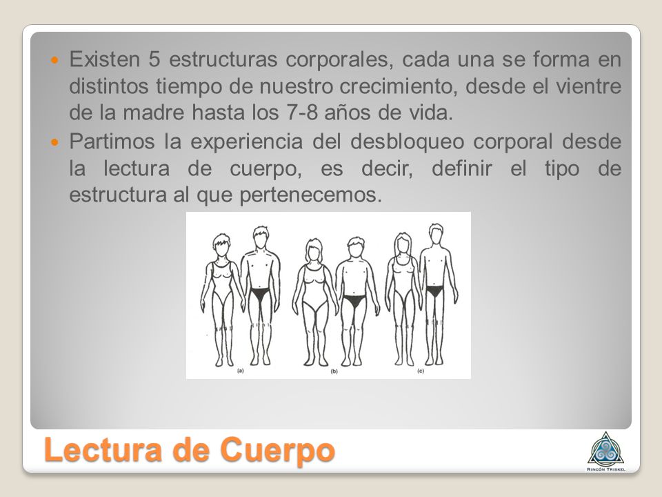 Existen 5 estructuras corporales, cada una se forma en distintos tiempo de nuestro crecimiento, desde el vientre de la madre hasta los 7-8 años de vida.