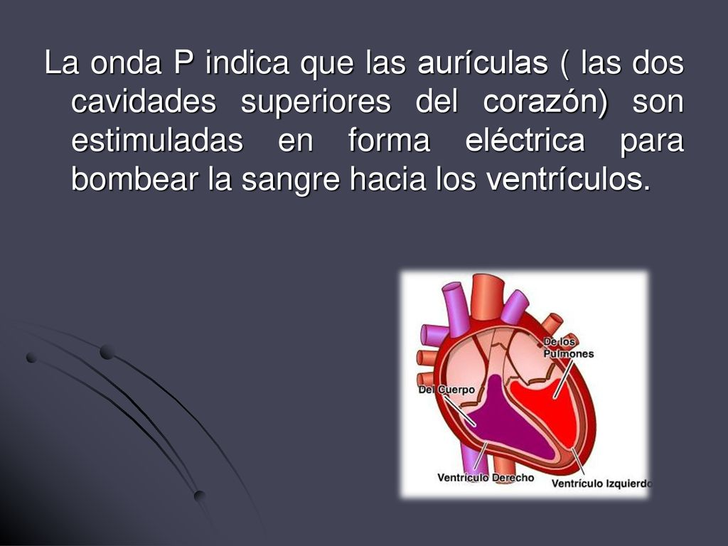 La onda P indica que las aurículas ( las dos cavidades superiores del corazón) son estimuladas en forma eléctrica para bombear la sangre hacia los ventrículos.
