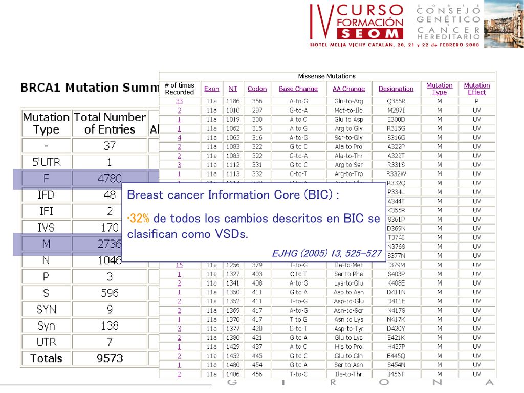 Breast cancer Information Core (BIC) :