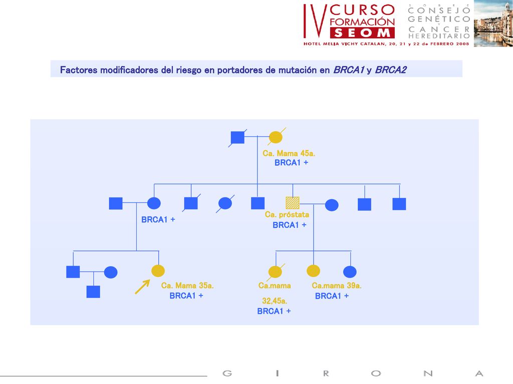 Factores modificadores del riesgo en portadores de mutación en BRCA1 y BRCA2